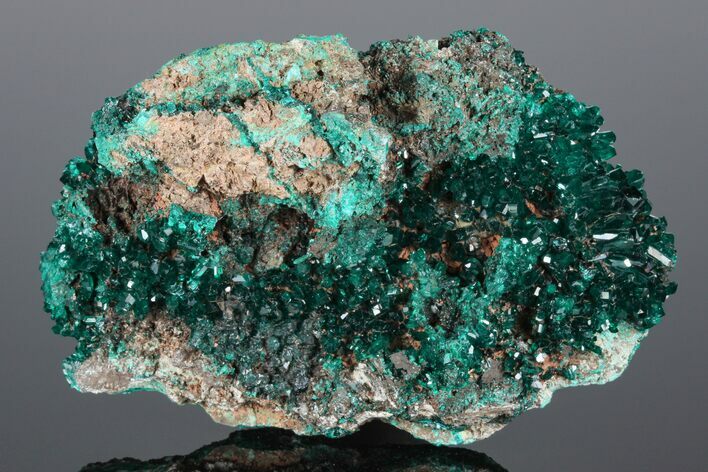 Gemmy Dioptase Crystal Cluster #175956